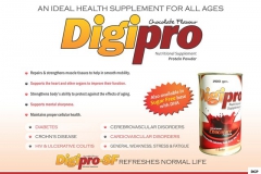 digipro